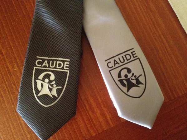 Corbatas del equipo de debate del Colegio Caude de Majadahonda